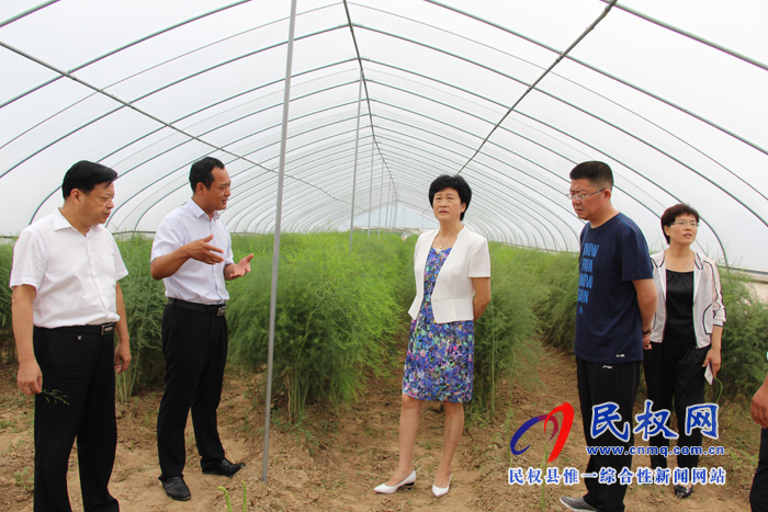 縣人大常委會主任周燕到雙塔鎮(zhèn)調(diào)研脫貧攻堅工作 縣人大常委會主任周燕到雙塔鎮(zhèn)調(diào)研脫貧攻堅工作