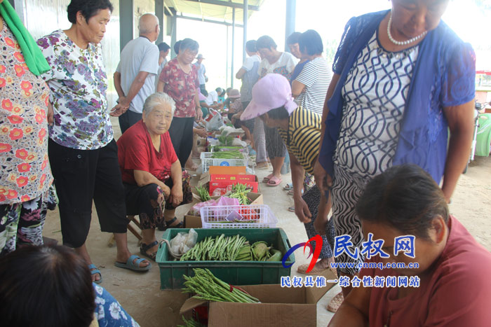 雙塔鎮(zhèn)大棚蘆筍收購忙 雙塔鎮(zhèn)大棚蘆筍收購忙