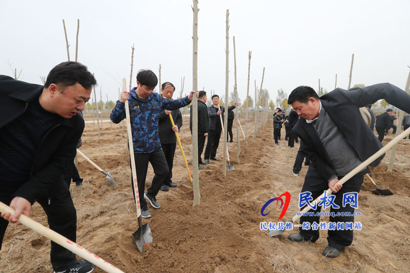 縣四家領(lǐng)導(dǎo)參加冬季義務(wù)植樹活動 縣四家領(lǐng)導(dǎo)參加冬季義務(wù)植樹活動