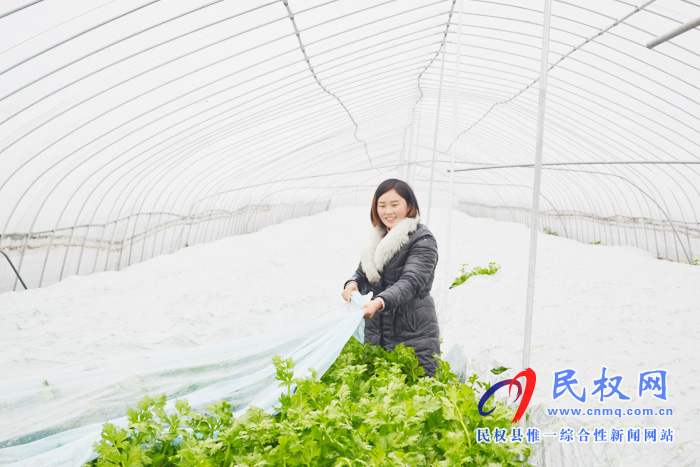 野崗鎮(zhèn)叁收家庭農(nóng)場(chǎng)產(chǎn)業(yè)對(duì)接幫扶結(jié)碩果 野崗鎮(zhèn)叁收家庭農(nóng)場(chǎng)產(chǎn)業(yè)對(duì)接幫扶結(jié)碩果