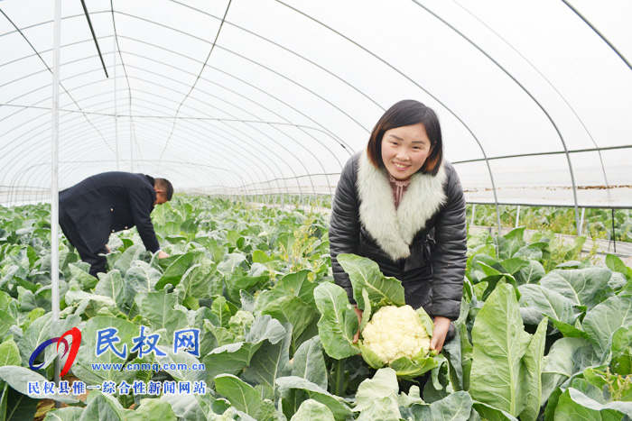 野崗鎮(zhèn)叁收家庭農(nóng)場(chǎng)產(chǎn)業(yè)對(duì)接幫扶結(jié)碩果 野崗鎮(zhèn)叁收家庭農(nóng)場(chǎng)產(chǎn)業(yè)對(duì)接幫扶結(jié)碩果