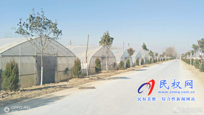 綠洲街道辦：城鄉(xiāng)融合譜新篇，鄉(xiāng)村生態(tài)又宜居