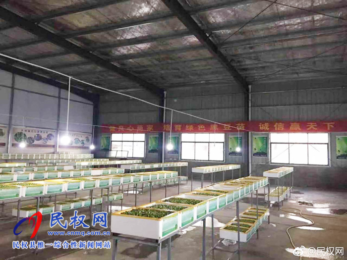 王橋鎮(zhèn):打造扶貧車間 助力脫貧攻堅 王橋鎮(zhèn):打造扶貧車間 助力脫貧攻堅