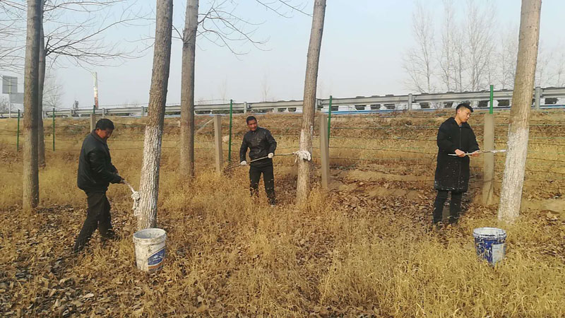 雙塔鎮(zhèn)組織開展連霍高速公路兩側(cè)樹木刷白工作 雙塔鎮(zhèn)組織開展連霍高速公路兩側(cè)樹木刷白工作