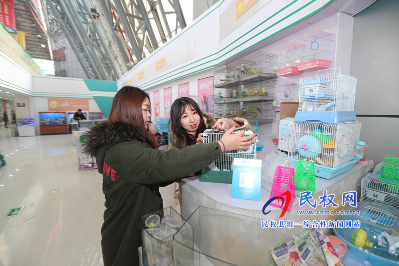 2019河南·民權(quán)首屆精品年貨博覽會(huì)開幕 2019河南·民權(quán)首屆精品年貨博覽會(huì)開幕