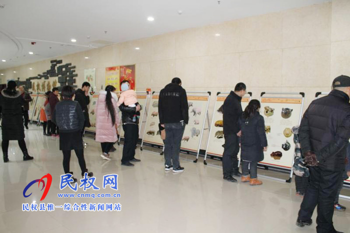 “金豬拱福——乙亥新春生肖豬文物圖片聯(lián)展”走進(jìn)民權(quán) “金豬拱?!液バ麓荷へi文物圖片聯(lián)展”走進(jìn)民權(quán)