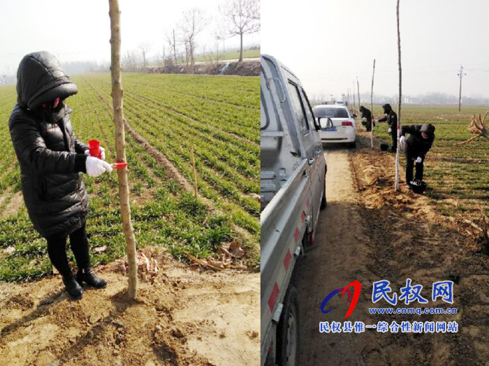 我縣各鄉(xiāng)鎮(zhèn)(街道辦)開展新春植樹活動 我縣各鄉(xiāng)鎮(zhèn)(街道辦)開展新春植樹活動