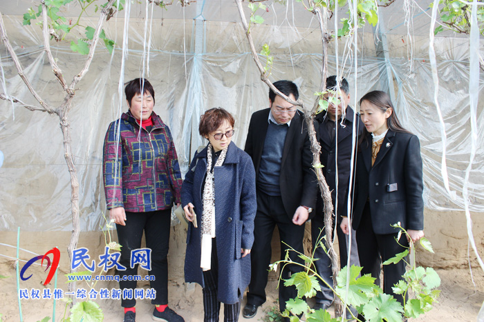 全國婦聯(lián)到我縣調研《中國婦女報》進鄉(xiāng)村及巾幗脫貧示范基地情況 全國婦聯(lián)到我縣調研《中國婦女報》進鄉(xiāng)村及巾幗脫貧示范基地情況