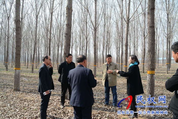 省森防站領(lǐng)導(dǎo)蒞臨民權(quán)縣檢查指導(dǎo)森林病蟲害防控工作 省森防站領(lǐng)導(dǎo)蒞臨民權(quán)縣檢查指導(dǎo)森林病蟲害防控工作