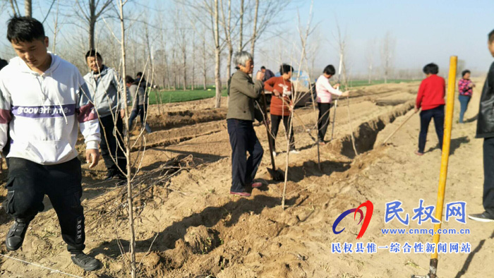 縣林業(yè)局全員下鄉(xiāng)服務造林綠化工作 縣林業(yè)局全員下鄉(xiāng)服務造林綠化工作