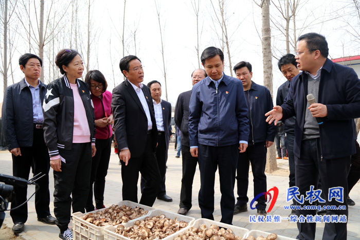 共植媒體林 同迎故道春——省委常委、宣傳部長江凌蒞民植新綠、造“媒林”