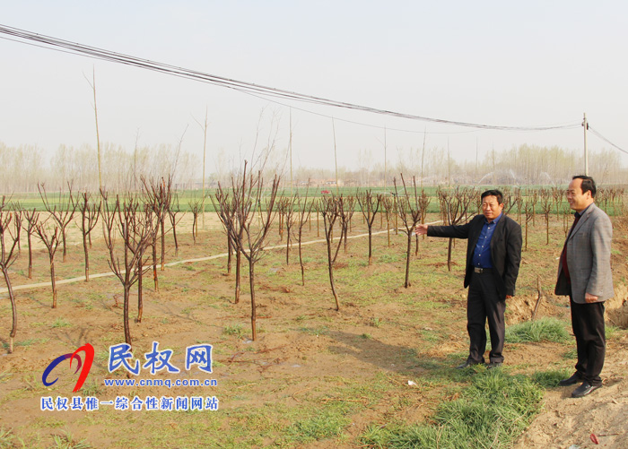 雙塔鎮(zhèn)加強(qiáng)新植苗木管護(hù)工作 雙塔鎮(zhèn)加強(qiáng)新植苗木管護(hù)工作