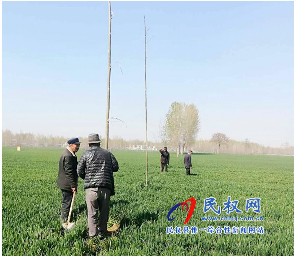 莊子鎮(zhèn):多措并舉強抓農(nóng)田林網(wǎng)建設 莊子鎮(zhèn):多措并舉強抓農(nóng)田林網(wǎng)建設