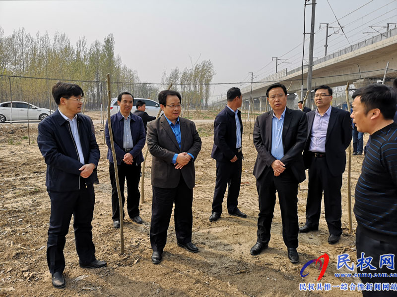 副市長張家明調(diào)研我縣國土綠化提升和生態(tài)廊道建設(shè)進展況 副市長張家明調(diào)研我縣國土綠化提升和生態(tài)廊道建設(shè)進展況