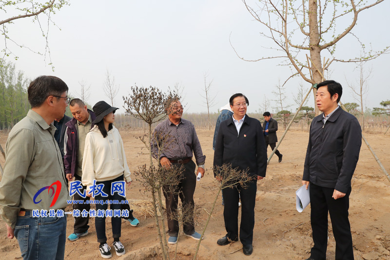 市委常委、宣傳部長(zhǎng)王全周調(diào)研我縣申甘林帶“媒林”建設(shè)情況