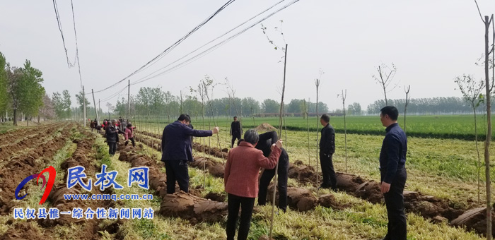 莊子鎮(zhèn)積極開展國(guó)土綠化、植樹造林活動(dòng)