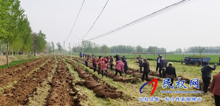 莊子鎮(zhèn)積極開展國(guó)土綠化、植樹造林活動(dòng)