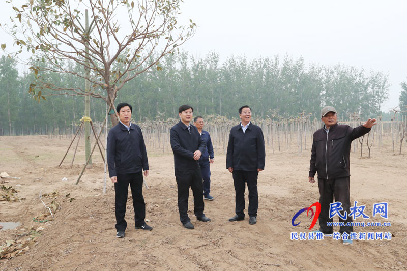 市委常委、宣傳部長(zhǎng)王全周調(diào)研我縣申甘林帶“媒林”建設(shè)及鄉(xiāng)村旅游發(fā)展情況