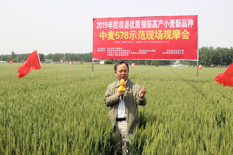 2019年商丘市優(yōu)質(zhì)強(qiáng)筋高產(chǎn)小麥新品種示范現(xiàn)場(chǎng)觀摩會(huì)在民權(quán)召開 2019年商丘市優(yōu)質(zhì)強(qiáng)筋高產(chǎn)小麥新品種示范現(xiàn)場(chǎng)觀摩會(huì)在民權(quán)召開