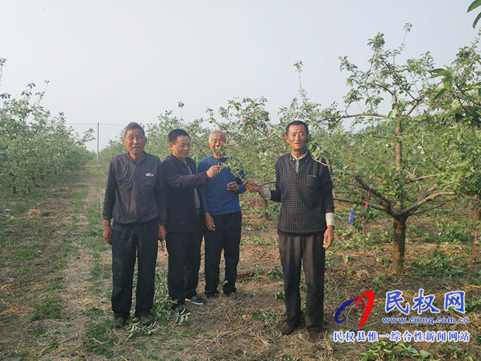 園藝站科技人員深入果園幫助果農(nóng)解決果樹技術(shù)難題 園藝站科技人員深入果園幫助果農(nóng)解決果樹技術(shù)難題