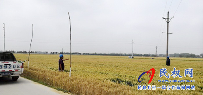 民權(quán)縣供電公司:提前應(yīng)對麥田火災(zāi)隱患 民權(quán)縣供電公司:提前應(yīng)對麥田火災(zāi)隱患