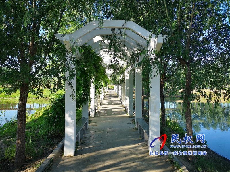 圖說民權(quán)丨水鄉(xiāng)任莊 圖說民權(quán)丨水鄉(xiāng)任莊