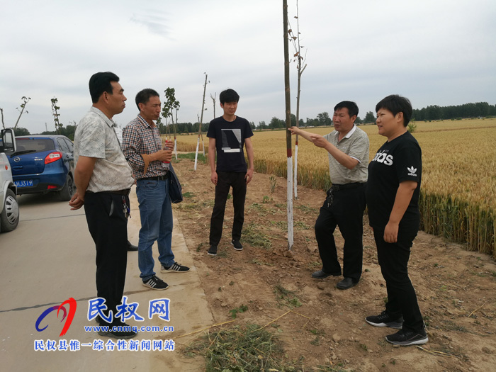 市質檢中心領導到民權縣進行綠色食品現(xiàn)場檢查 市質檢中心領導到民權縣進行綠色食品現(xiàn)場檢查