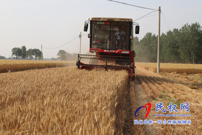 白云寺鎮(zhèn):麥收第一鐮在徐莊村開鐮 白云寺鎮(zhèn):麥收第一鐮在徐莊村開鐮