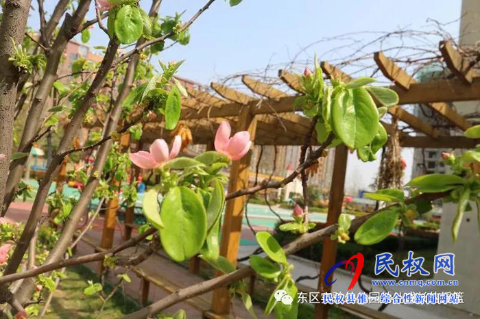 民東新區(qū)實驗幼兒園2019年秋季學(xué)位預(yù)訂開始啦！