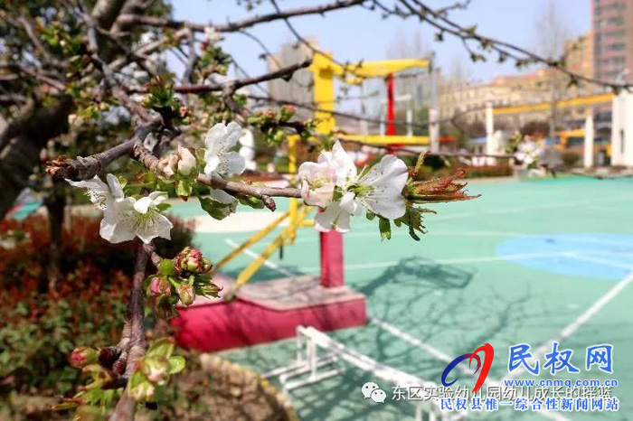 民東新區(qū)實驗幼兒園2019年秋季學(xué)位預(yù)訂開始啦！