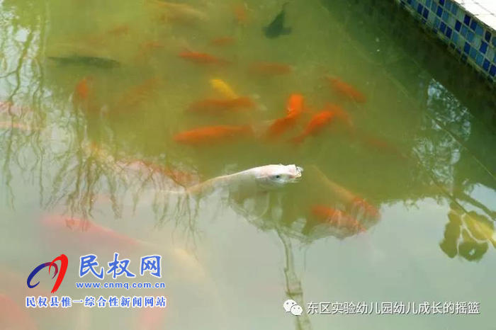 民東新區(qū)實驗幼兒園2019年秋季學(xué)位預(yù)訂開始啦！