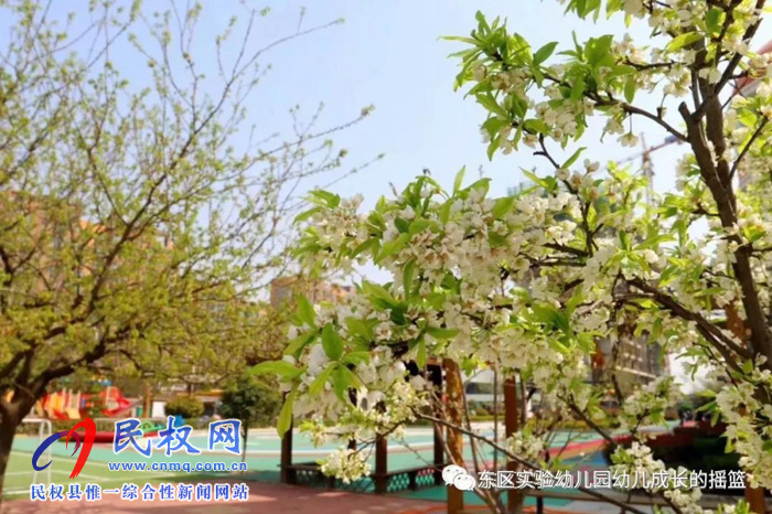 民東新區(qū)實驗幼兒園2019年秋季學(xué)位預(yù)訂開始啦！