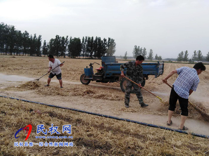 林七鄉(xiāng)小麥?zhǔn)崭罟ぷ黜樌瓿? title=