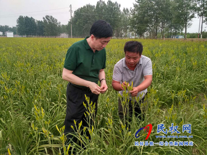 縣委常委、副縣長(zhǎng)房季到孫六鎮(zhèn)劉炳莊村檢查調(diào)研扶貧工作