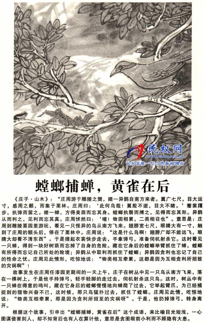 莊子成語故事 | 《螳螂捕蟬，黃雀在后》《屠龍之技》