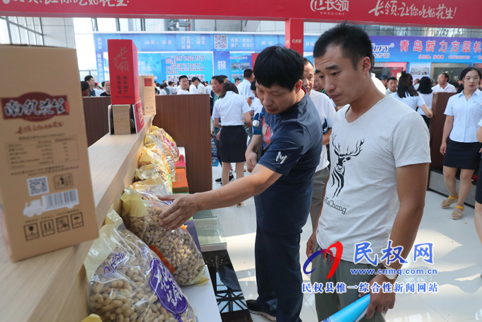 2019第七屆中國花生、葵花產(chǎn)業(yè)博覽會(huì)在民權(quán)隆重開幕