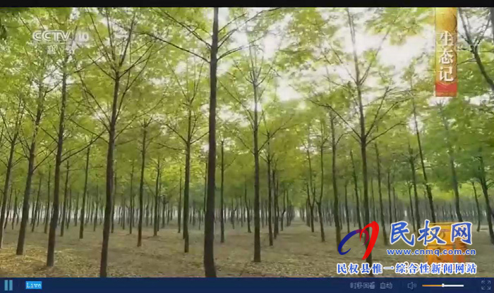 《中國(guó)影像方志?民權(quán)篇》在央視精彩播出后引發(fā)熱烈反響 《中國(guó)影像方志?民權(quán)篇》在央視精彩播出后引發(fā)熱烈反響