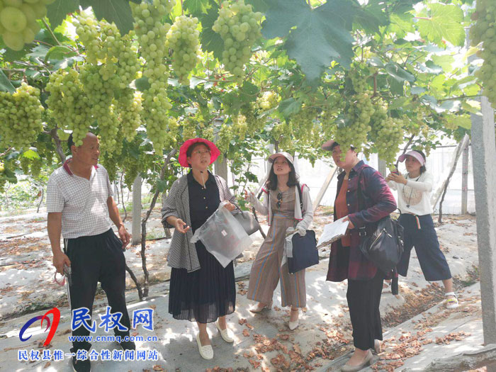 市農(nóng)業(yè)農(nóng)村局領(lǐng)導(dǎo)蒞民開展農(nóng)產(chǎn)品質(zhì)量安全例行監(jiān)測(cè)工作 市農(nóng)業(yè)農(nóng)村局領(lǐng)導(dǎo)蒞民開展農(nóng)產(chǎn)品質(zhì)量安全例行監(jiān)測(cè)工作