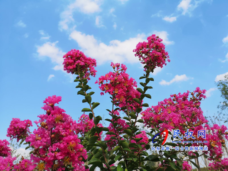 民權(quán)美景“民權(quán)藍(lán)” ? 民權(quán)美景“民權(quán)藍(lán)” ?