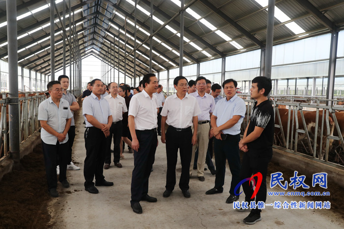 全市產(chǎn)業(yè)扶貧、金融扶貧暨結(jié)對幫扶民權(quán)縣工作推進會在我縣召開