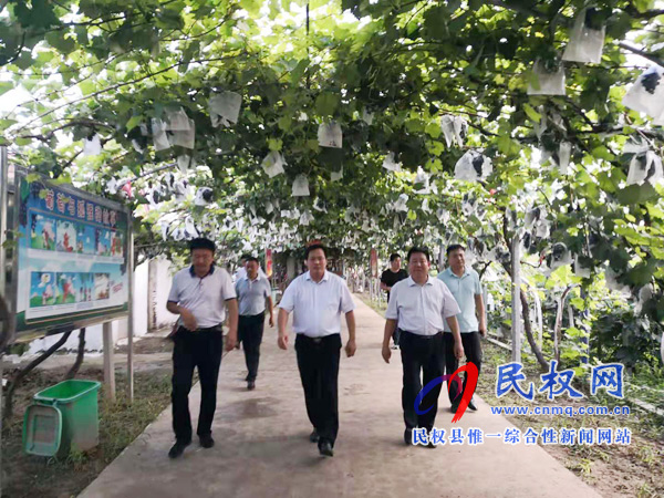 副縣長(zhǎng)孟祥亮到人和鎮(zhèn)雙飛莊園調(diào)研生態(tài)農(nóng)業(yè) 副縣長(zhǎng)孟祥亮到人和鎮(zhèn)雙飛莊園調(diào)研生態(tài)農(nóng)業(yè)