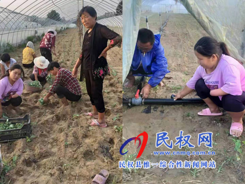 脫貧不脫志——黃土地里長出新希望 脫貧不脫志——黃土地里長出新希望