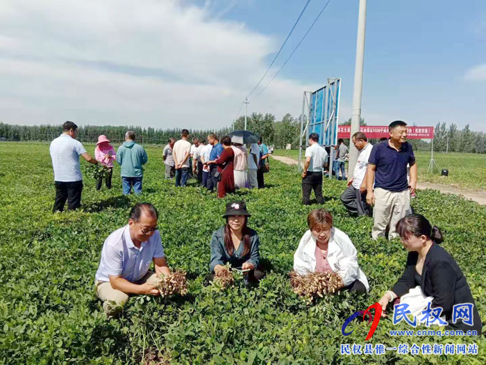 省農(nóng)科院專家組蒞臨民權(quán)進(jìn)行花生測產(chǎn) 省農(nóng)科院專家組蒞臨民權(quán)進(jìn)行花生測產(chǎn)