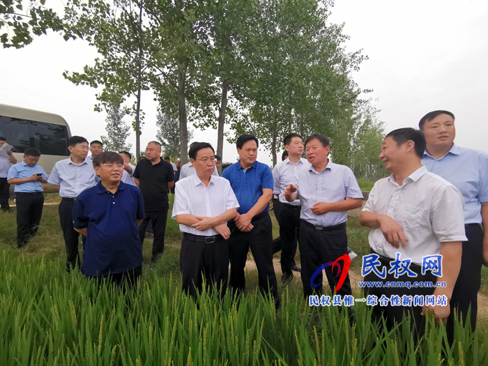 市人大常委會副主任、縣委書記姬脈常調(diào)研我縣稻漁綜合種養(yǎng)工作