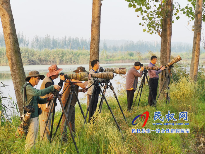 河南民權(quán)黃河故道國(guó)家濕地公園“青頭潛鴨重要繁殖地”新聞發(fā)布會(huì)今日舉行 河南民權(quán)黃河故道國(guó)家濕地公園“青頭潛鴨重要繁殖地”新聞發(fā)布會(huì)今日舉行