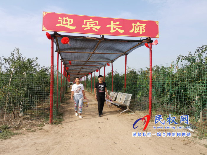 民權:旭光冬棗農(nóng)家樂 采摘園里話豐收 民權:旭光冬棗農(nóng)家樂 采摘園里話豐收