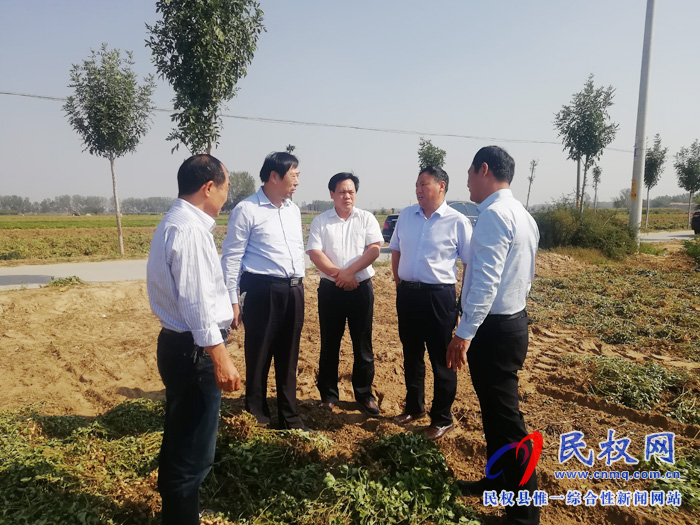 省農(nóng)業(yè)農(nóng)村廳黨組成員、總農(nóng)藝師王俊忠到雙塔鎮(zhèn)檢查指導(dǎo)“三秋”生產(chǎn)工作