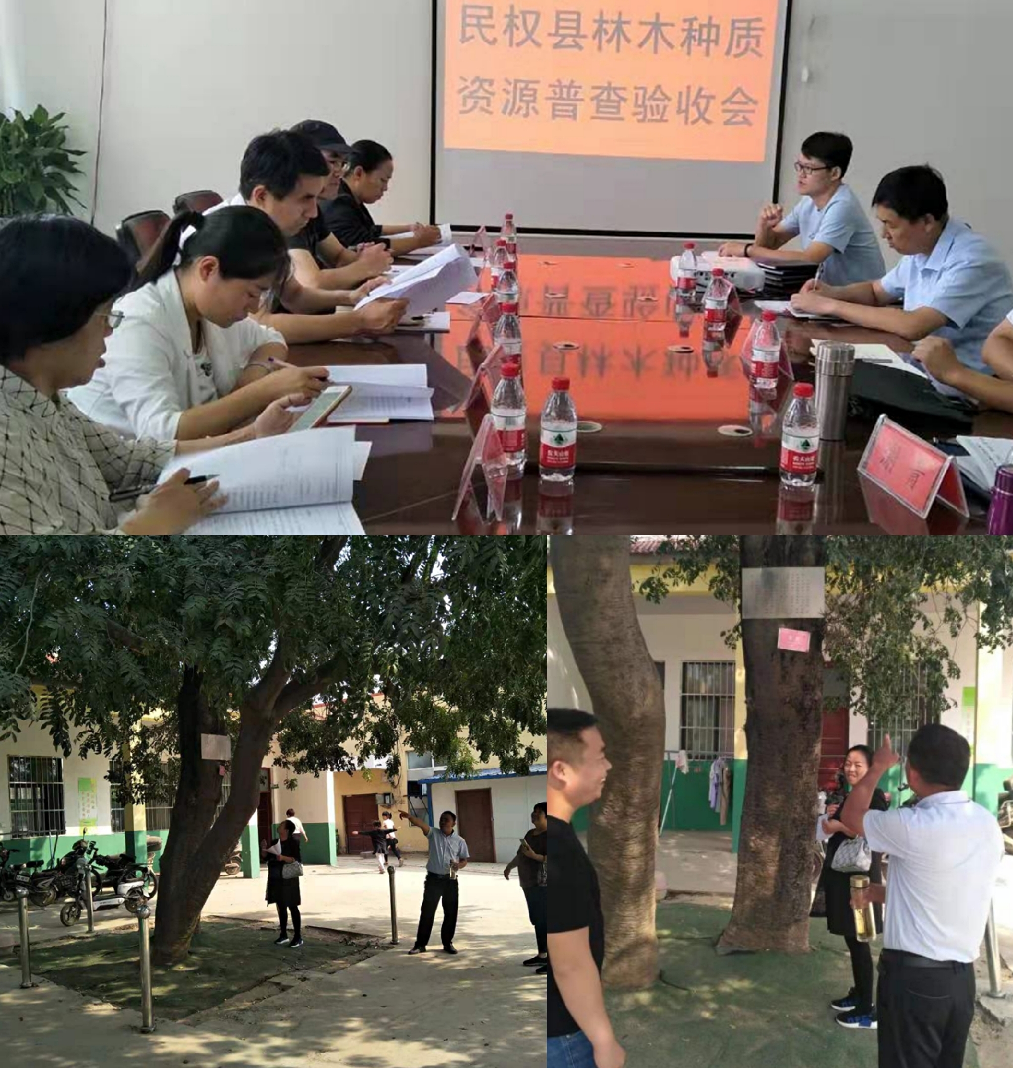 民權(quán)縣林木種質(zhì)資源普查工作接受市級(jí)驗(yàn)收 民權(quán)縣林木種質(zhì)資源普查工作接受市級(jí)驗(yàn)收