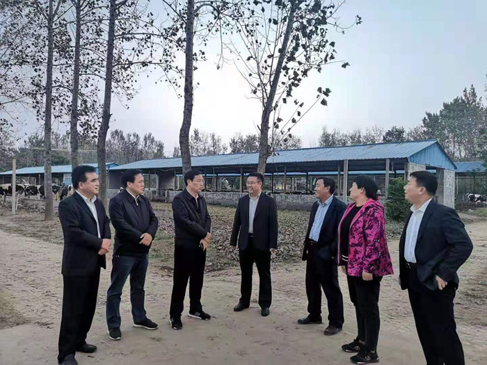 市人大常委會副主任、縣委書記姬脈常到我縣部分鄉(xiāng)鎮(zhèn)調(diào)研產(chǎn)業(yè)扶貧項目發(fā)展情況