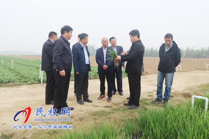 商丘市2019年主要農(nóng)作物生產(chǎn)全程機(jī)械化現(xiàn)場(chǎng)會(huì)在我縣召開(kāi) 商丘市2019年主要農(nóng)作物生產(chǎn)全程機(jī)械化現(xiàn)場(chǎng)會(huì)在我縣召開(kāi)